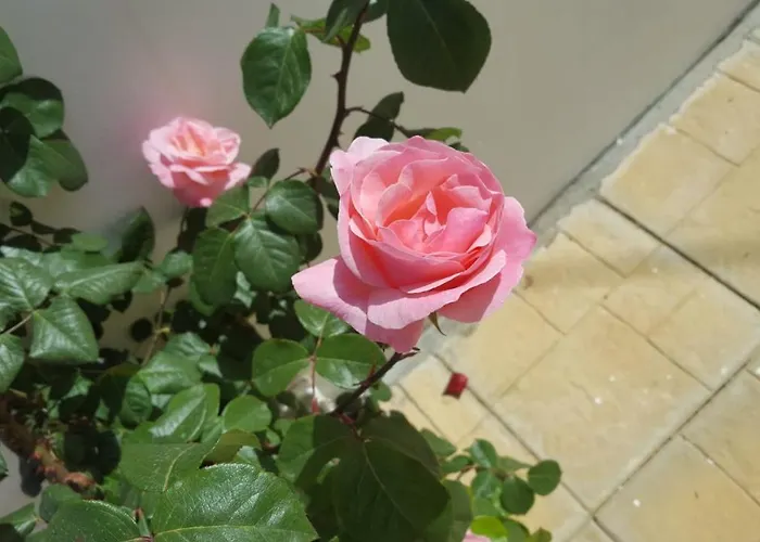 Hébergement de vacances Bella Vista