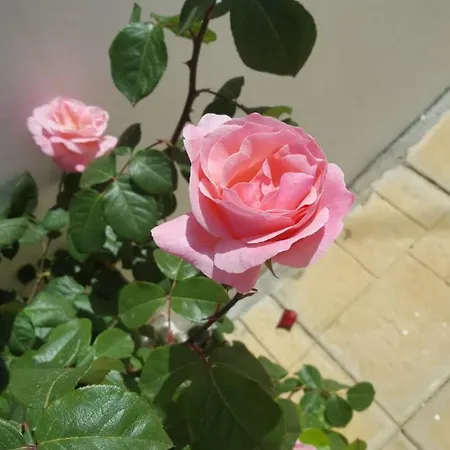 Casa vacanze Bella Vista